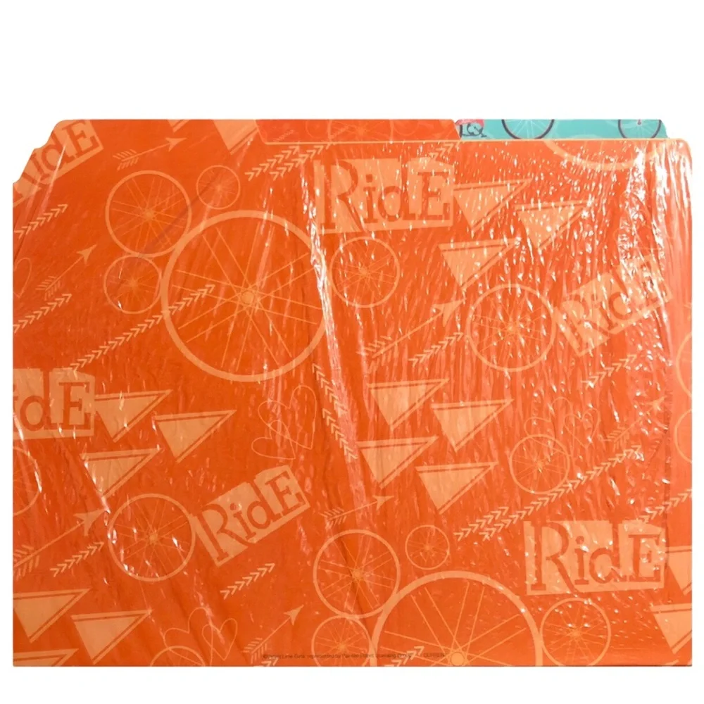 Bicycle Ride 1/3 Top Tab Decorative File Folders, 12 ct